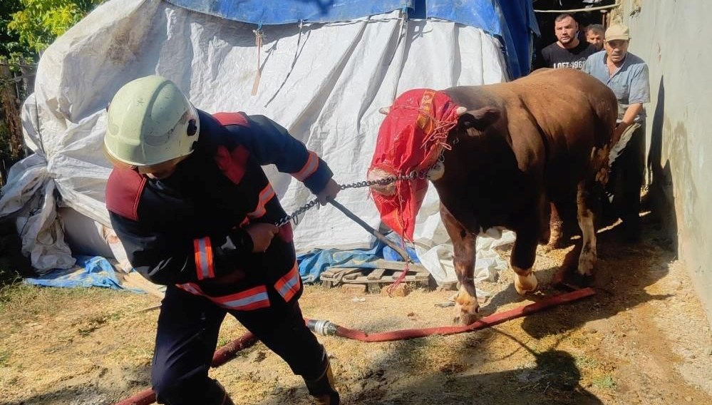 Malatya’da ahırda yangın paniği