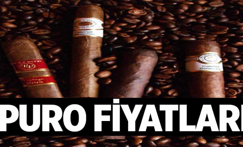 Puro Fiyatlari 1024x622jlP.jpg