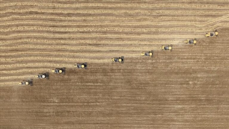 tarimsal girdi fiyat endeksi agustosta artti gHI2ZRwX.jpg