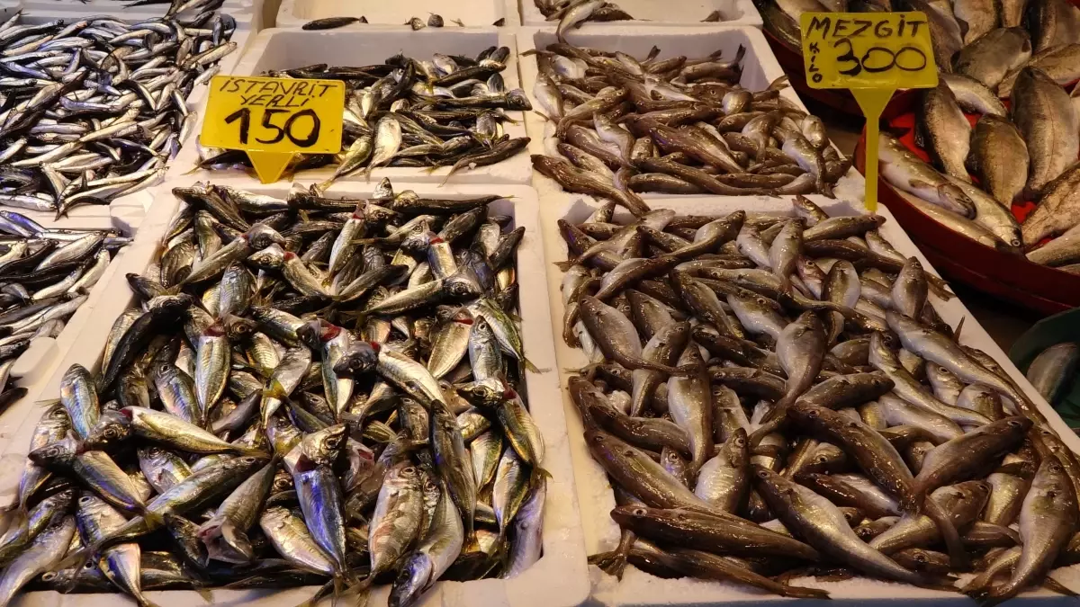 trabzonda balik bollugu zxRUhWib.jpg
