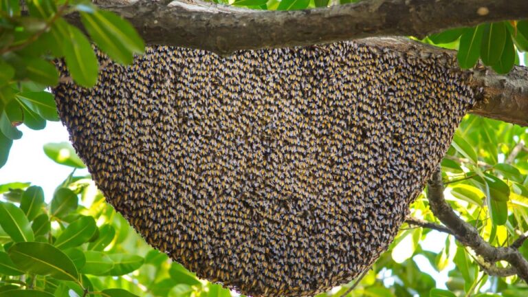 bingolde ureticilere yuzde 75 hibe verildi lSAmEVQk.jpg