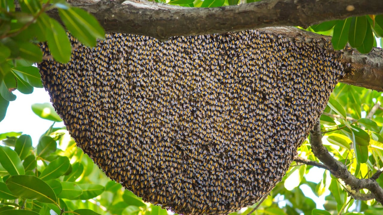 bingolde ureticilere yuzde 75 hibe verildi lSAmEVQk.jpg