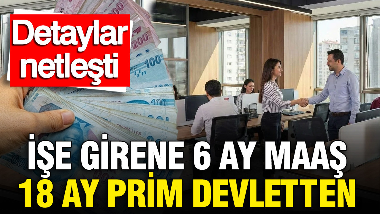Gençlere İstihdam Desteği: 6 Ay Maaş ve 18 Ay Prim İmkanı