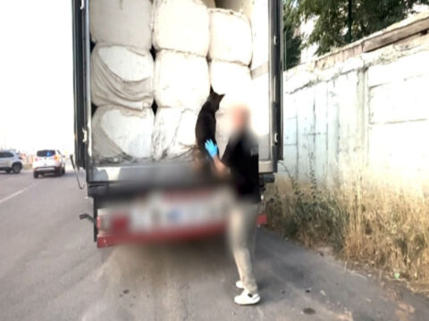 Iki tirdaki uyusturucuyu narkotik kopegi mailo buldu SOVr1Tvc