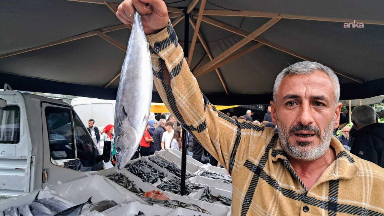 Palamutun fiyatı üç günde 50 liradan 150 liraya fırladı: Hem balıkçılar hem de vatandaşlar şikayetçi